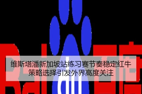 维斯塔潘新加坡站练习赛节奏稳定红牛策略选择引发外界高度关注